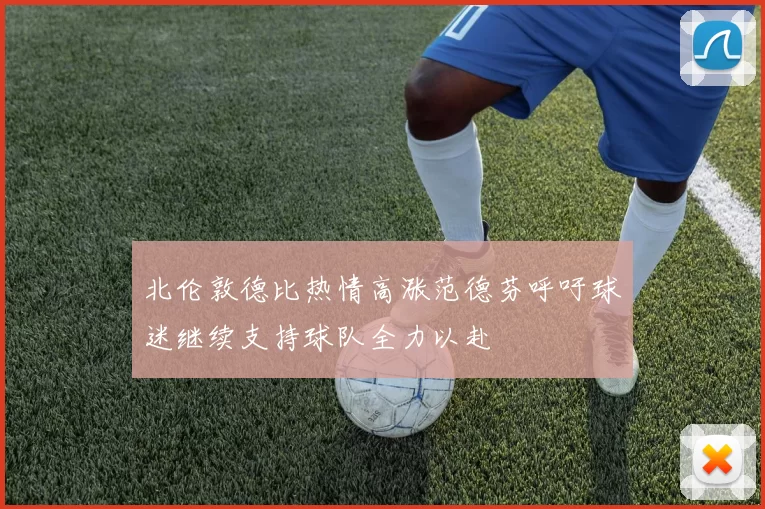 北伦敦德比热情高涨范德芬呼吁球迷继续支持球队全力以赴