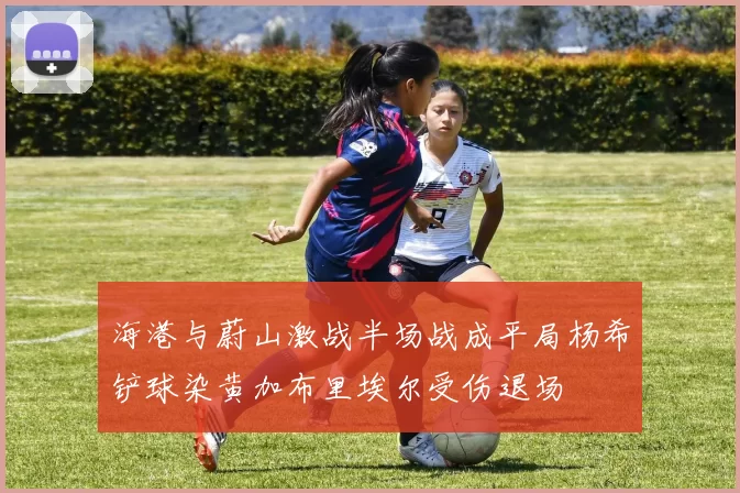 海港与蔚山激战半场战成平局杨希铲球染黄加布里埃尔受伤退场